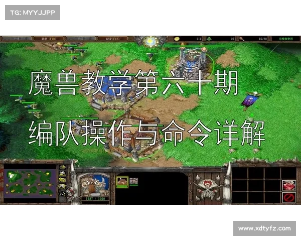 魔兽RPG:编队操作指南 魔兽RPG:编队操作指南